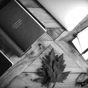 Modern workspace with notebooks, laptop, and plants for professional productivity and organization.
